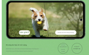 Đánh giá Sharp AQUOS sense 9